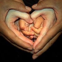 second parent adoption