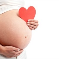 surrogate lawyers, surrogate lawyer, surrogate attorney, legal surrogate, surrogate legal