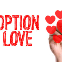 gay families, second parent adoption process