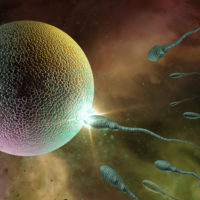 anonymous sperm donors