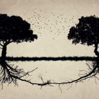 gay married gay divorce