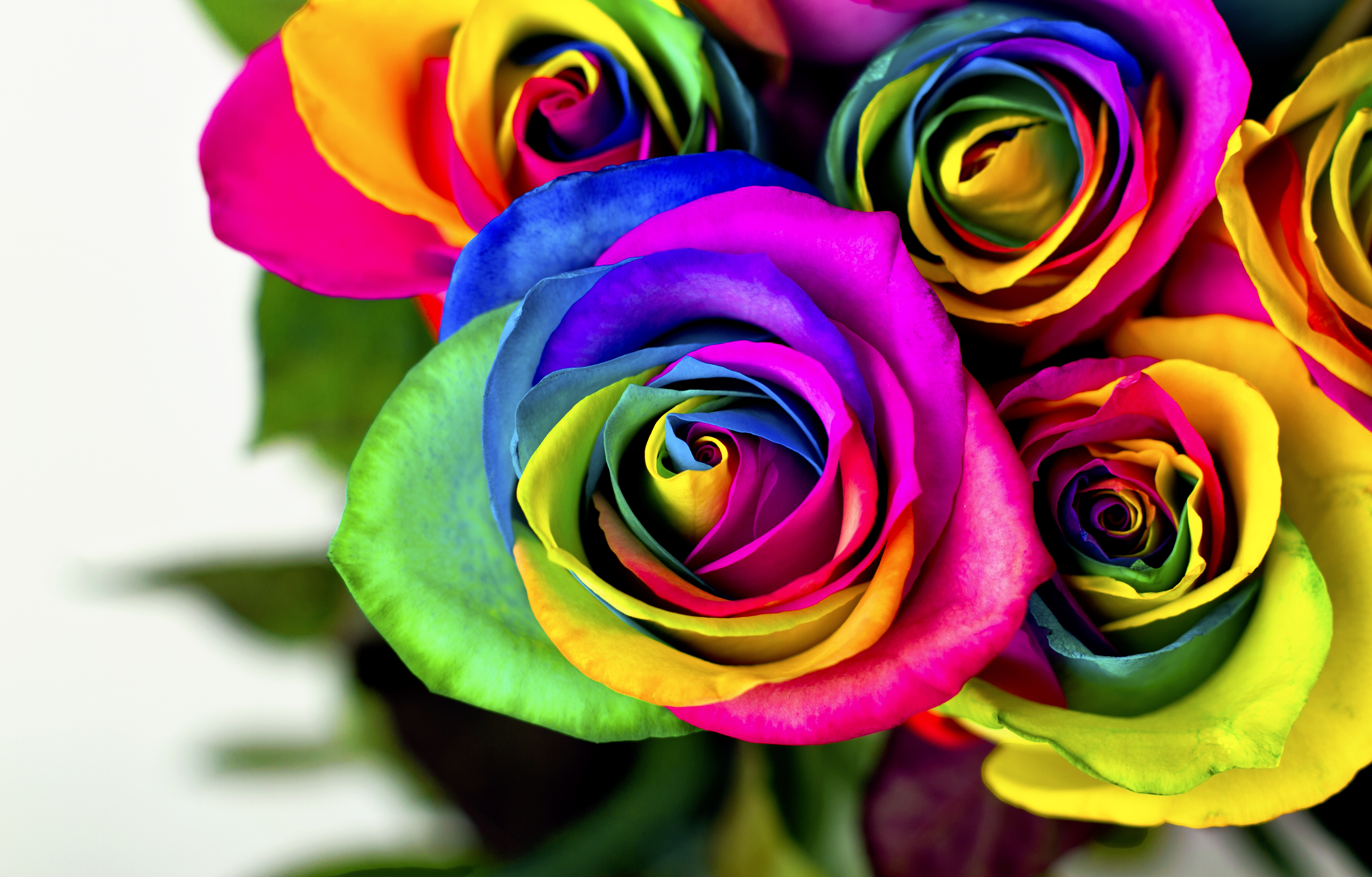 Florist Discriminated Against Gay Couple Washington