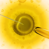 donor conceived, fertilized egg