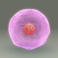 IVF law