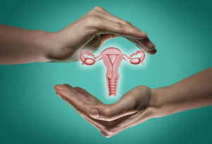 uterus