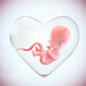 divorce embryos
