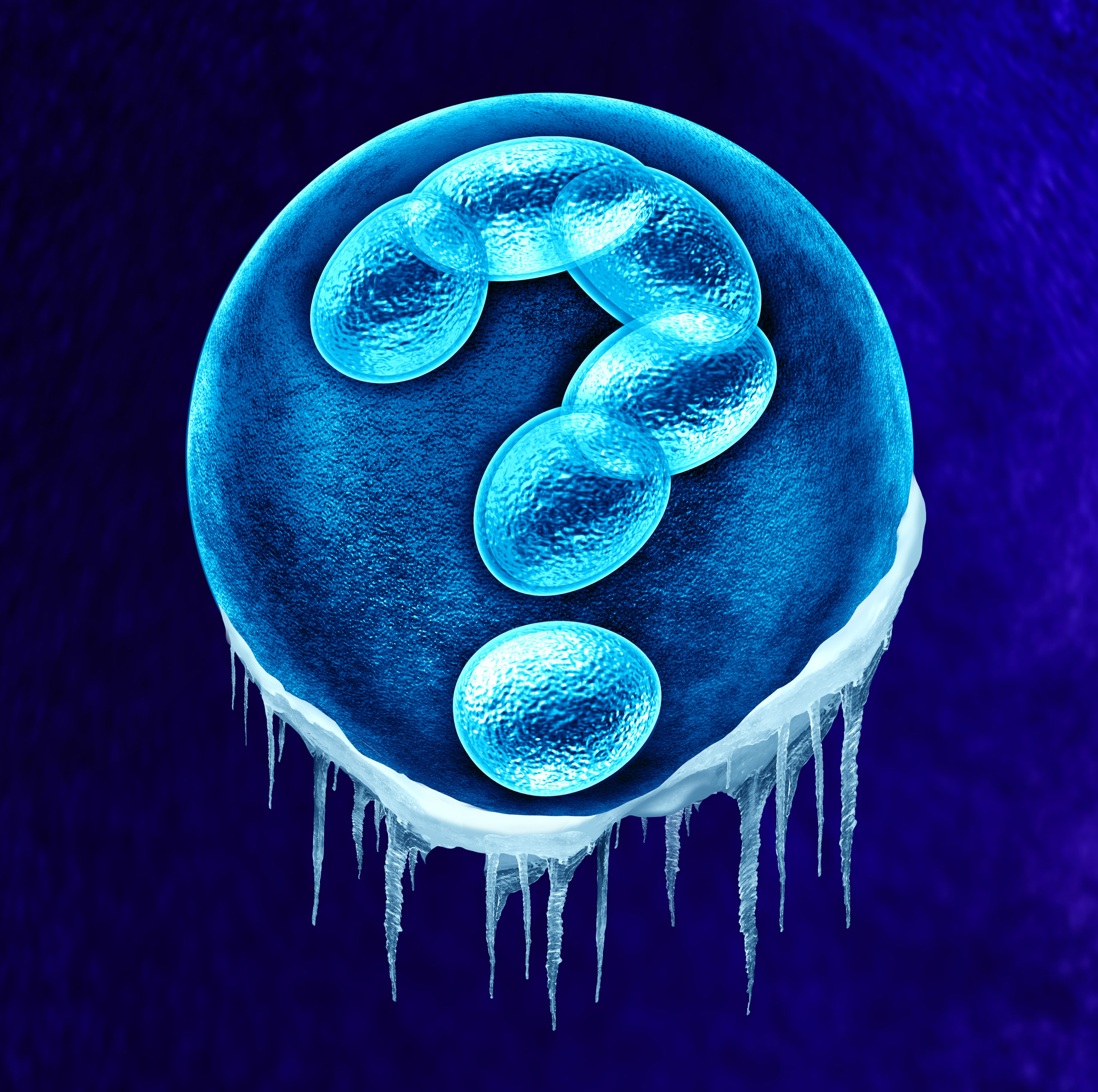 No Significant Difference in Frozen Embryo v. Fresh Embryo Viability